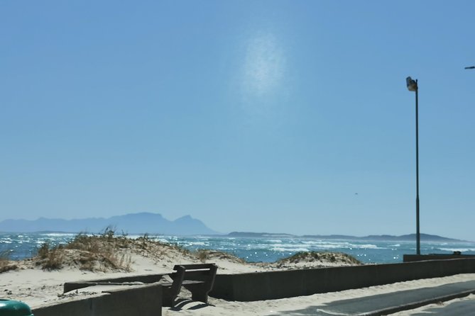 Cheetah Outreach Tour Somerset West, Gordon's Bay and Strand Beaches - Should you book the Cheetah Outreach and beaches tour?