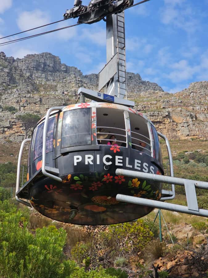 City Tour: Table Mountain, Kirstenbosch & Wine - How this Cape Town day fits together