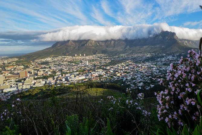 City Tours - Cape Town Central: three hours of stories and landmarks