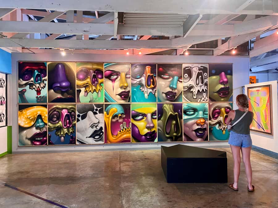 Colours of Johannesburg: A Graffiti & Street Art Tour - The local graffiti store: supplies, shirts, and a closer look