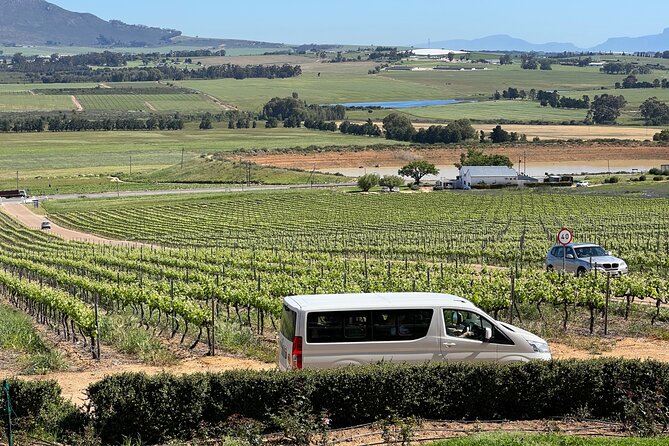 Constantia Half day Wine Tasting tour - The strongest parts of the experience