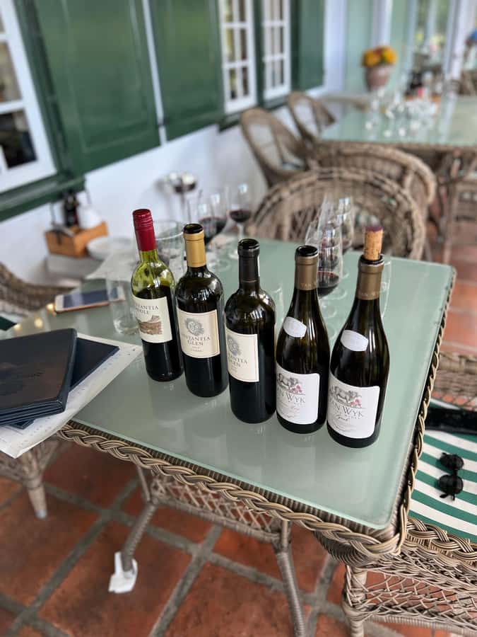 Constantia Half day Wine Tasting tour - What could be better