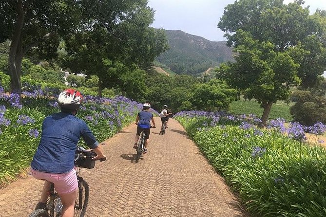 Constantia Hidden Gem Cycle Half Day - Private Tour - What the $148.64 price includes