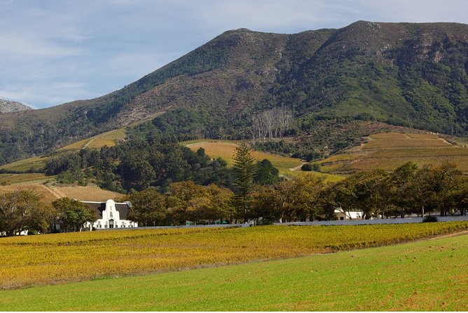 Constantia Hidden Gem Cycle Half Day - Private Tour - A private morning, with a few practical limits