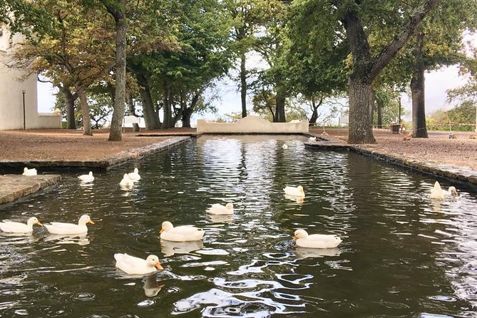 Constantia Hidden Gem Cycle Half Day - Private Tour - How this compares with visiting Constantia independently