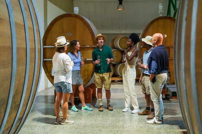 Constantia Wine Walk Storytelling Vineyard Tour with Lunch - Why this Constantia tour feels different