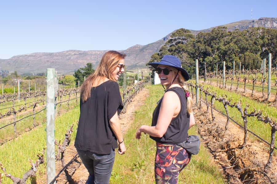 Constantia: Wine Walk with Lunch and Enchanting Stories - Who will enjoy this most