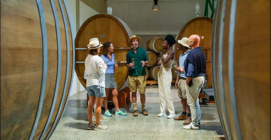 Constantia: Wine Walk with Lunch and Enchanting Stories - Timing, transport, and practical details