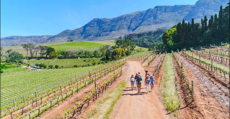 Constantia: Wine Walk with Lunch and Enchanting Stories - Starting at Groot Constantia with 90 minutes of history