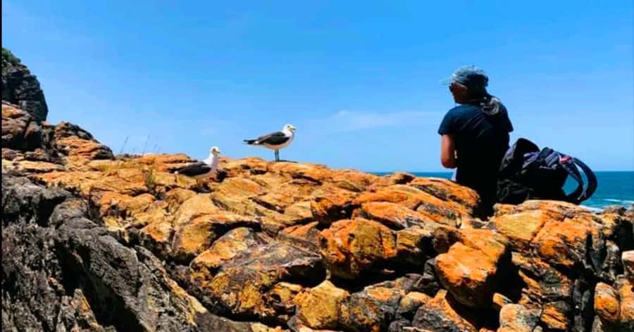 Costal Hiking Sacramento Trail: Port Elizabeth - Key things to know before you go
