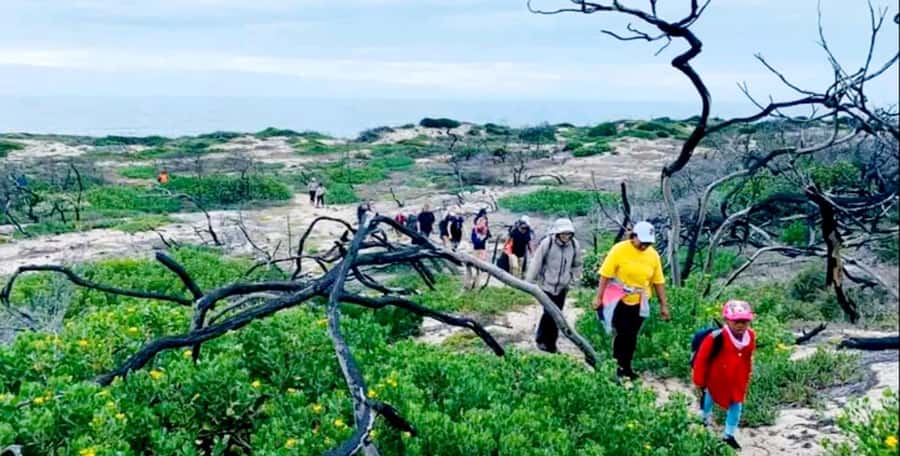Costal Hiking Sacramento Trail: Port Elizabeth - From rocky shore to dune-top paths