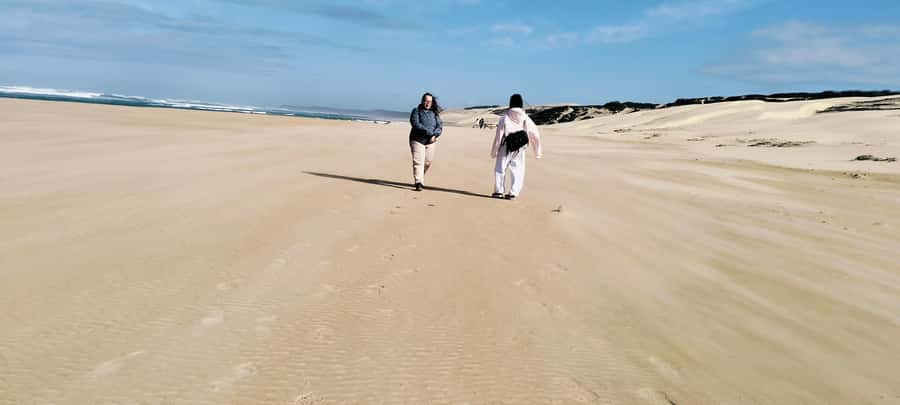 Costal Hiking Sacramento Trail: Port Elizabeth - Who should book this hike?
