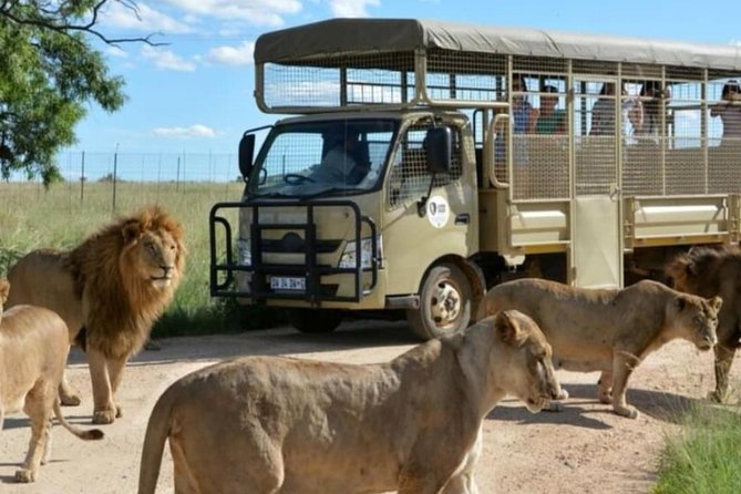 Cradle of Human Kind & Lion & Rhino Park Tour Full day Tour Private - The Cradle of Humankind and Sterkfontein Caves
