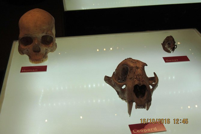 Cradle of Human Kind Tour and Lesedi Cultural Village Day Tour - Who Will Like This Tour Most?