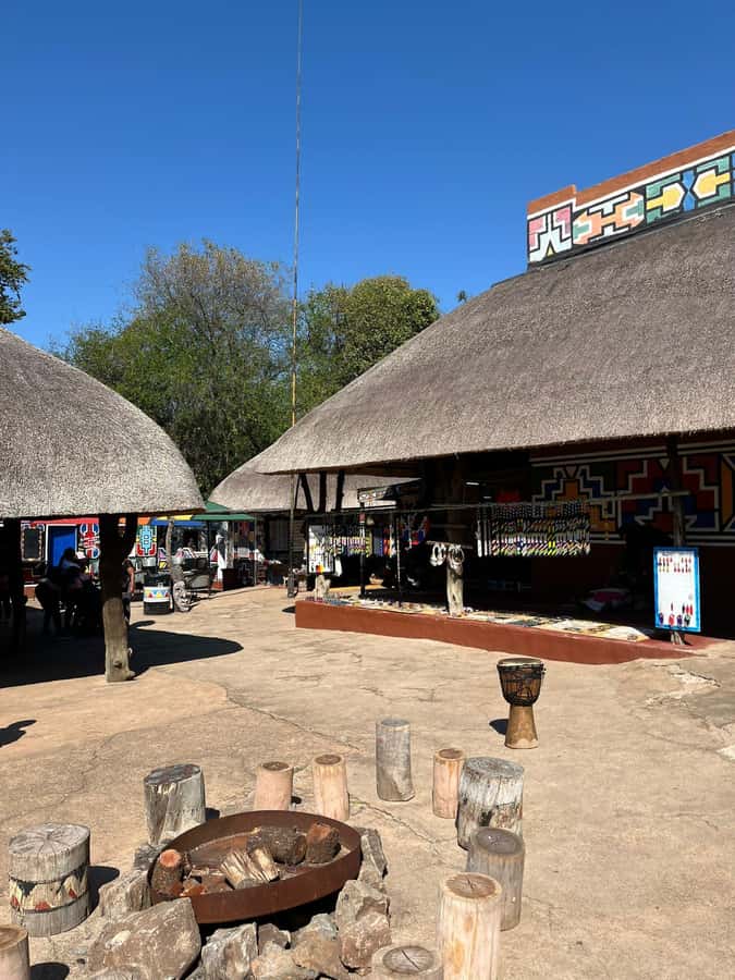 Cradle of Humankind and Lesedi Cultural Village - Should you book the Cradle of Humankind and Lesedi tour?