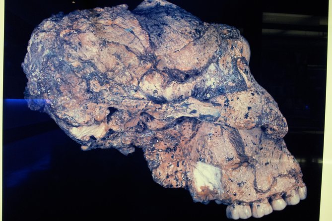 Cradle of Humankind and Maropeng Day Tour from Johannesburg - The small-group advantage