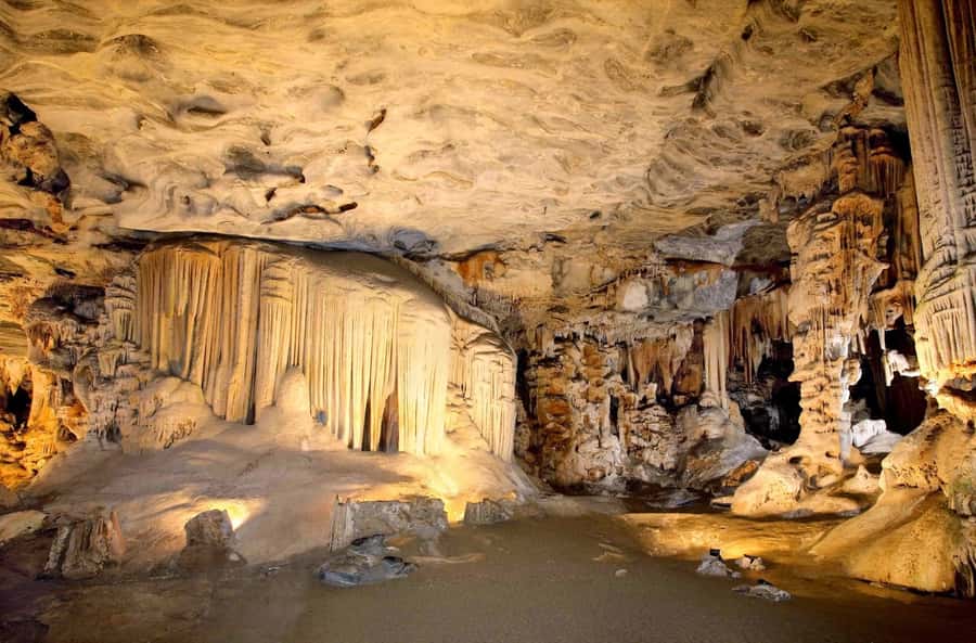 Cradle of Humankind and Sterkfontein Caves Half-Day Tour - From Johannesburg to the Cradle of Humankind