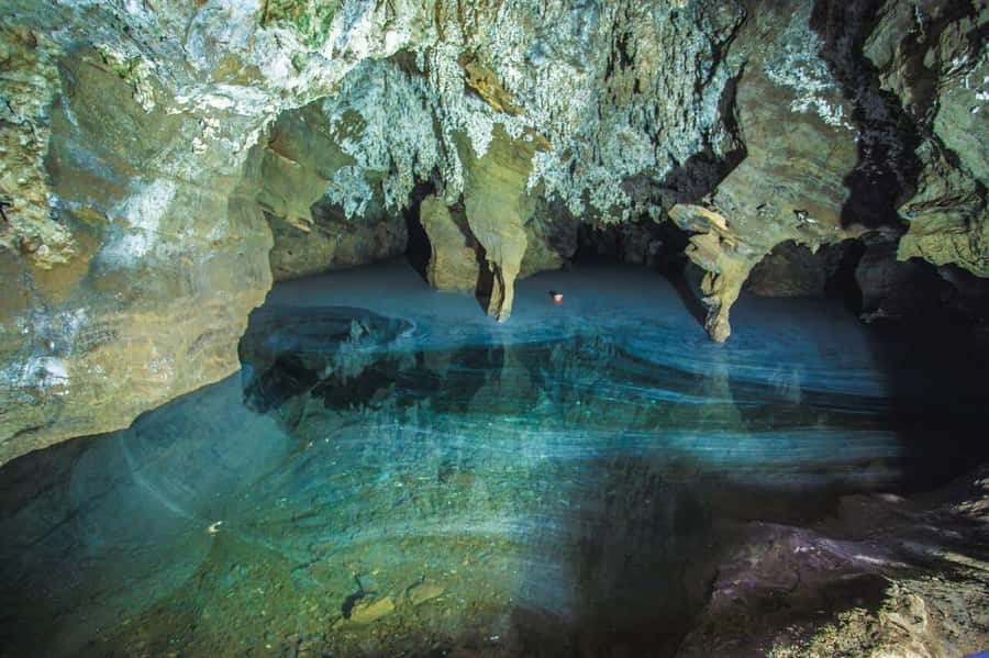 Cradle of Humankind and Sterkfontein Caves Half-Day Tour - What $120 buys you
