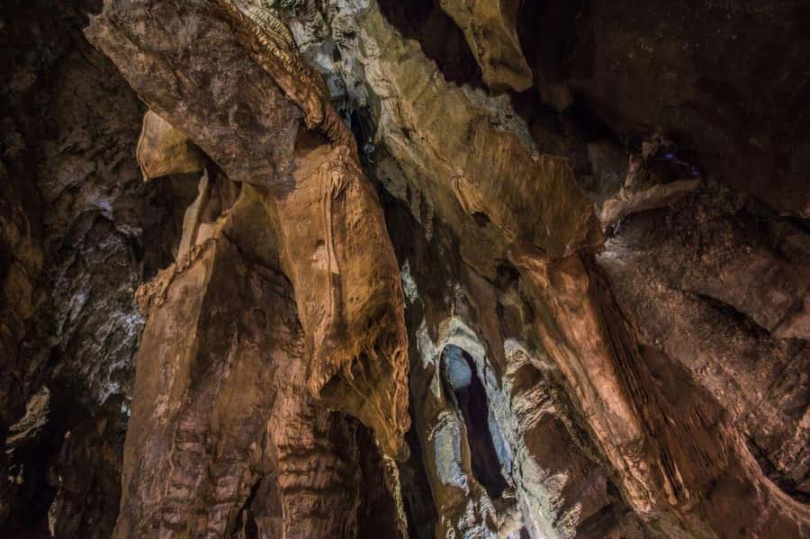Cradle of Humankind and Sterkfontein Caves Half-Day Tour - Who will enjoy this outing most