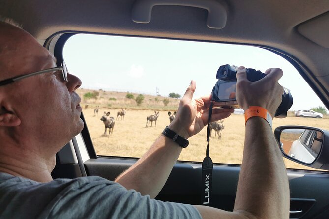 Cradle of Humankind, Caves or Maropeng, Rhino and Lion Park - Should you book this Johannesburg day trip?