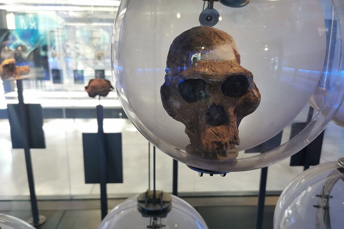 Cradle of Humankind, Caves or Maropeng, Rhino and Lion Park - What Shane Gouldie adds to the day