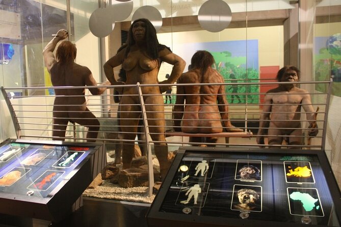 Cradle of Humankind Full Day Tour from Pretoria and Johannesburg - Key points to know before booking