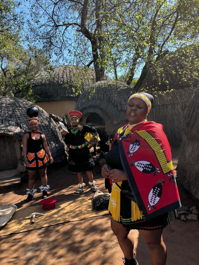 Cradle Of Humankind, Lesedi Cultural Village & Lion's Park - Lesedi Cultural Village: music, dance and five homesteads