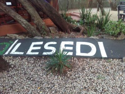 Cradle Of Humankind, Lesedi Cultural Village & Lion’s Park