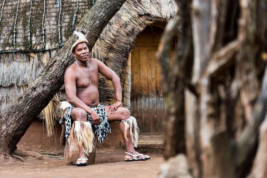 Cradle Of Humankind, Lesedi Cultural Village & Lion's Park - Lion & Safari Park brings the biggest visual payoff