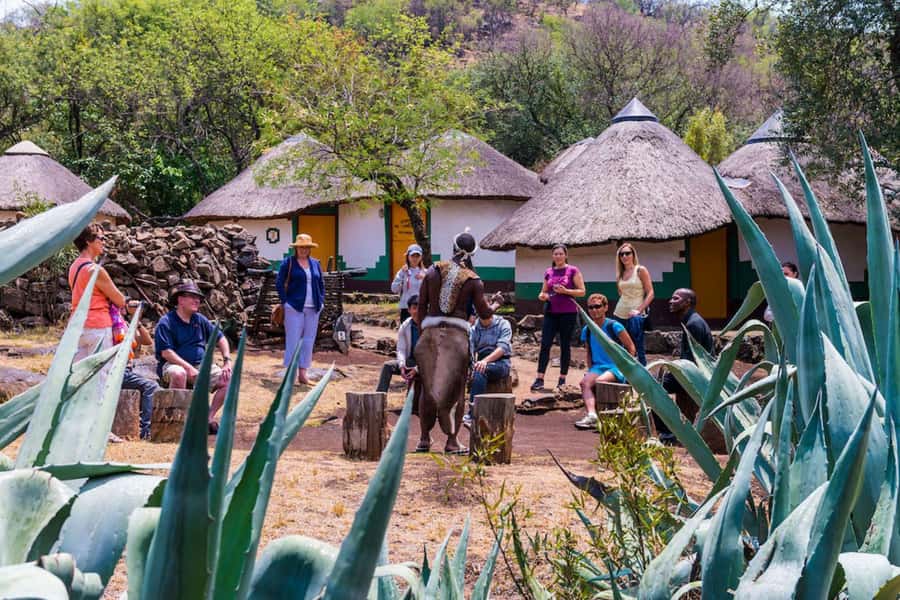 Cradle Of Humankind, Lesedi Cultural Village & Lion's Park - Transport from Johannesburg or Pretoria