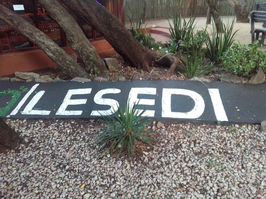 Cradle Of Humankind, Lesedi Cultural Village & Lion's Park - The Cradle of Humankind and the story beneath your feet