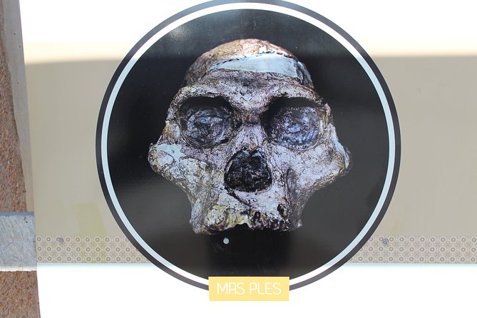 Cradle of Humankind Tour - Sterkfontein Caves with Maropeng Tour - What the best day looks like