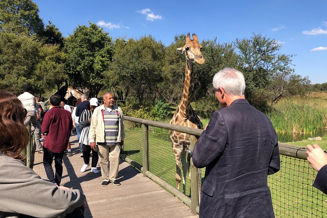 Cradle of Humankind Tour with Lion Safari from Johannesburg - Why this Johannesburg day trip works