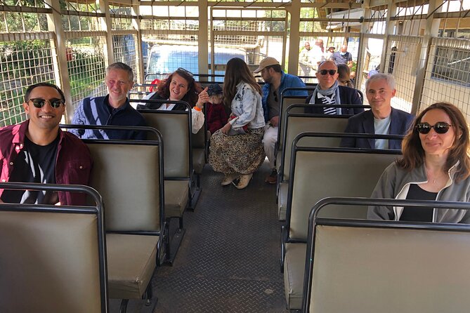 Cradle of Humankind Tour with Lion Safari from Johannesburg - Maropeng and the story of human origins