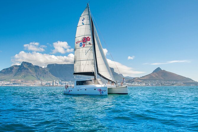 Cruise and Dine Dinner / Cape Town: Sunset Champagne Cruise and 3-Course Dinner - Two glasses of South African sparkling wine