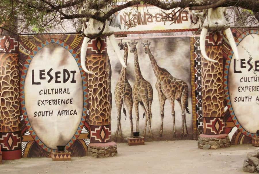 Cultural Experience Just Outside Johannesburg - Drums, Stories, and Traditional Dance