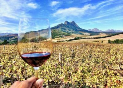 CUSTOMISED PRIVATE WINE TOUR WITH LUNCH – CAPE TOWN