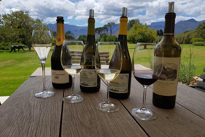 Customized Private Wine Tour - Guardian Peak and Rust en Vrede: the lunch decision