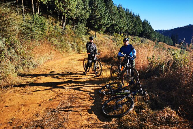 Cycling The Cradle of Humankind in Game Reserve - Wildlife viewing from two wheels
