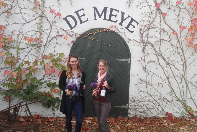 Daily Different small group WINE tour - STELLENBOSCH PICKUP only - What the $97.77 price really covers