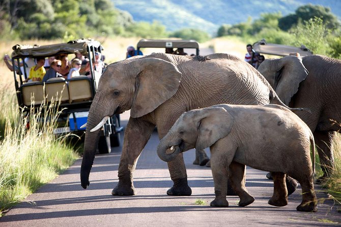 Daily Pilanesberg National Park Private Shuttle Services - Changing the destination to Pilanesberg