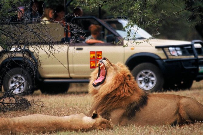 Daily Pilanesberg National Park Private Shuttle Services - The three-hour route to Sun City