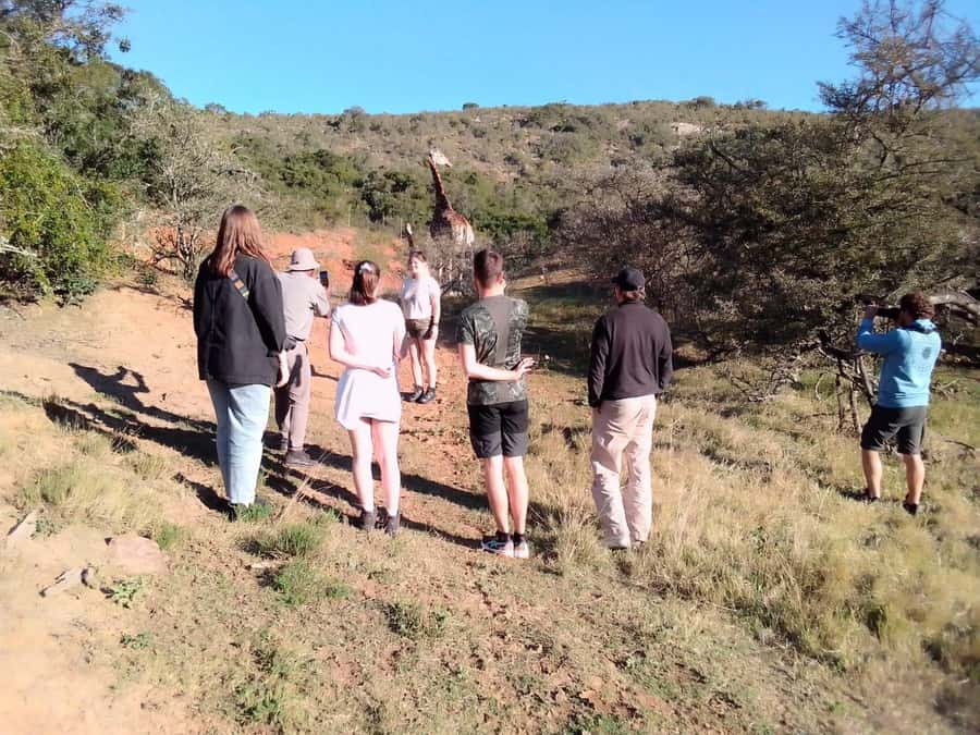 Daniell Cheetah, Addo Elephant and Giraffe Walk Safaris - Addo Elephant National Park, wide roads and uncertain sightings