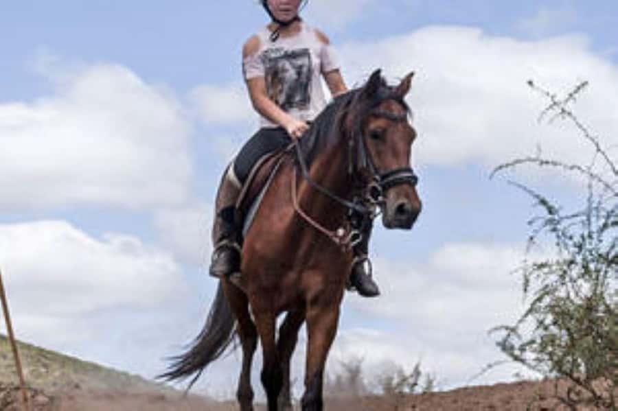 De Rust: Stompdrift Trail - Horse Riding Experience - Key points before you book