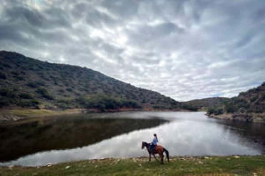 De Rust: Stompdrift Trail - Horse Riding Experience - What the Stompdrift Trail is really like