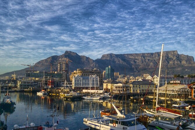 Discover Cape Town City Cycle Tour - What You Will Taste Along the Way