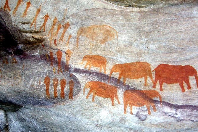 Drakensberg Giant's Castle Cave Art & Mandela Capture Site Tour from Durban - Why this Durban day trip works