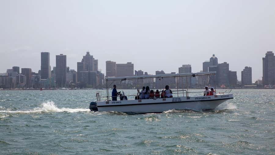 Durban: 1-Hour Boat Cruise from Wilson's Wharf - Five things to know before you go