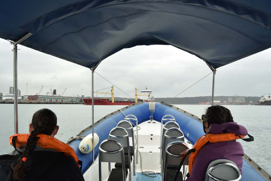 Durban: 1-Hour Boat Cruise from Wilson's Wharf - Practical tips for a better ride