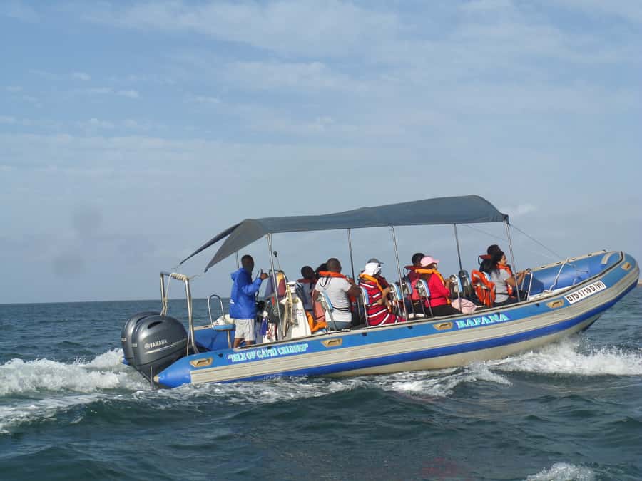 Durban: 1-Hour Boat Cruise from Wilson's Wharf - Watching Durban’s port at work